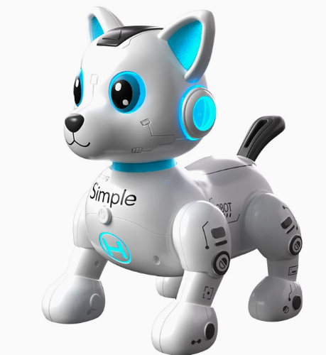 Electric & Interactive Toys