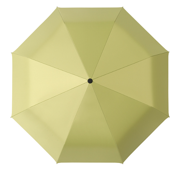 Folding & Compact Umbrellas Folding & Compact Umbrellas