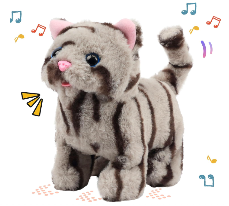 Electric & Interactive Toys